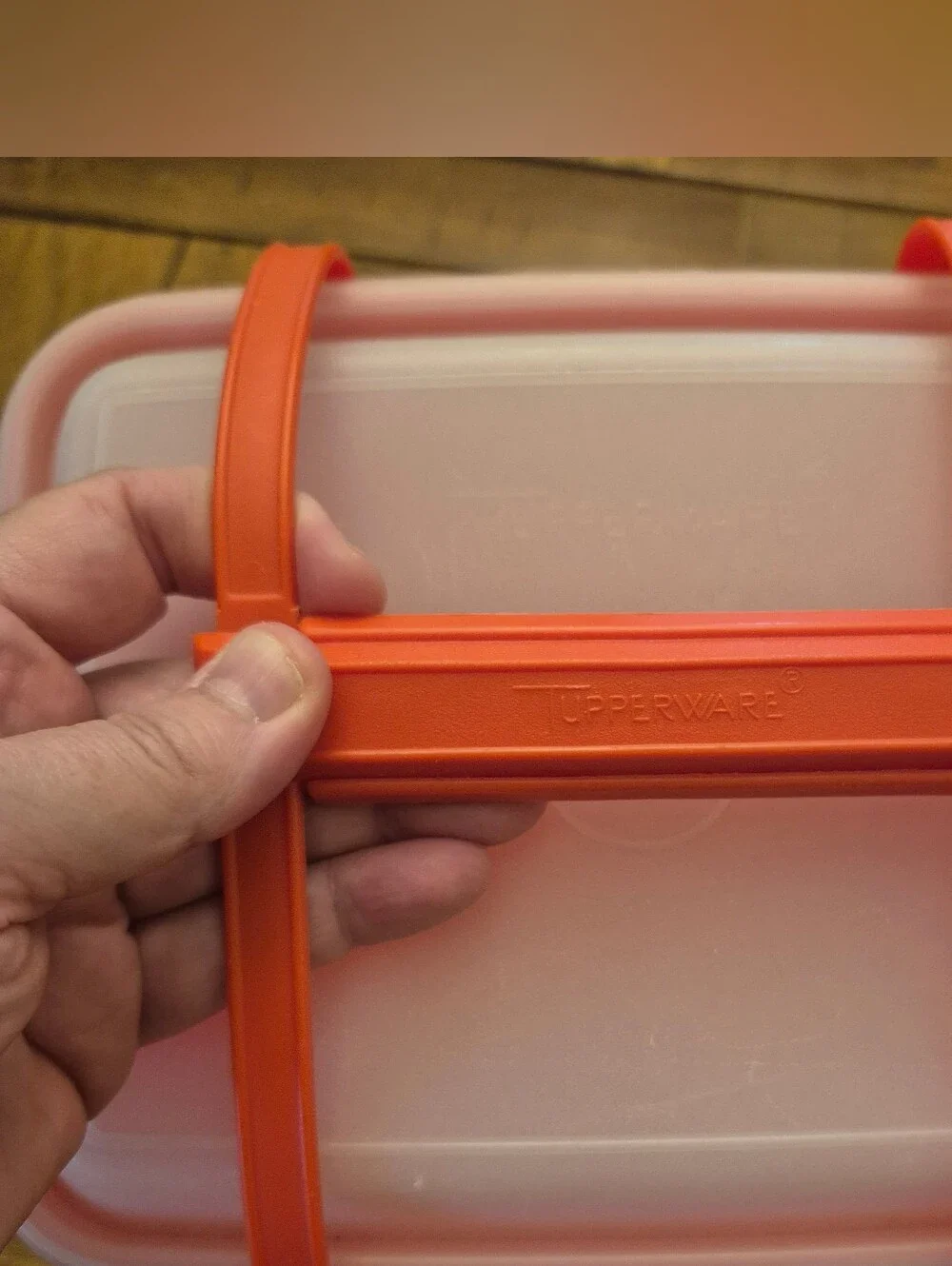 Vintage Tupperware Pack N Carry Lunchbox